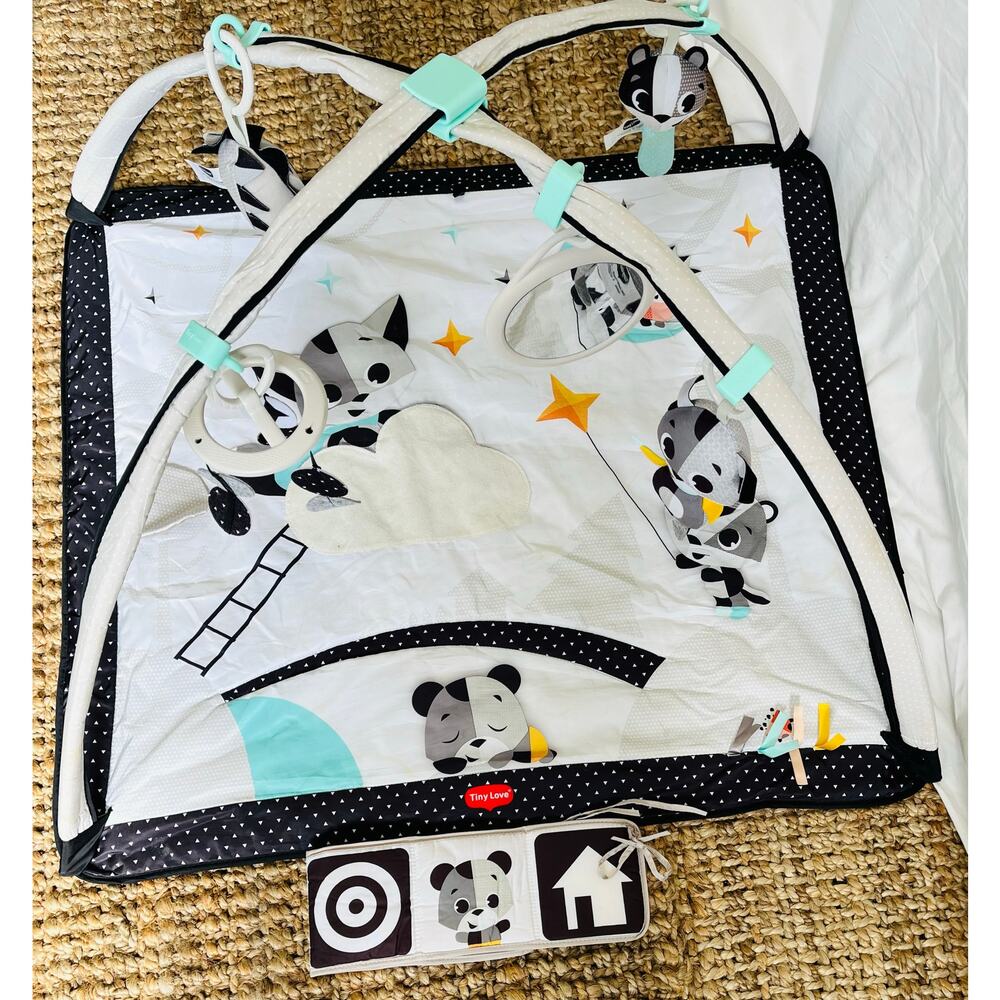 Tiny Love Baby Gym